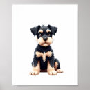 Search for miniature schnauzer posters Puppy