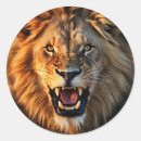 Search for lion predator stickers Safari