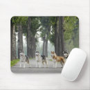 Search for siberian mousepads Nature