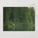 Search for banff national park postcards Calgary