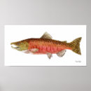Search for chinook art Salmon