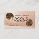 Search for ammonites Photography