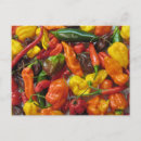 Search for chilli peppers postcards Salsa