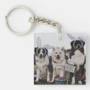 Search for australian shepherd key rings Animal