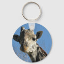 Search for giraffe pictures key rings Giraffes