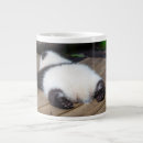Search for sleeping animal mugs Animals in the wild