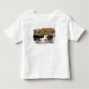 Search for babcock clothing Architecture
