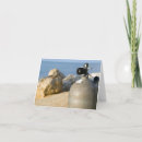 Search for scuba diving cards Beach