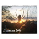 Search for spider calendars Wildlife