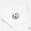 Search for toy poodle stickers Animals