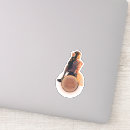 Search for flamenco stickers Vintage