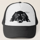 Search for peeking in hats Dogs