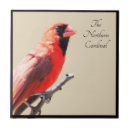 Search for cardinal tiles Nature