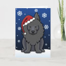 Search for schipperke cards Cute