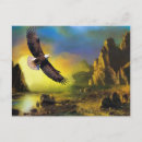 Search for eagle stuff postcards Bird