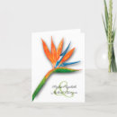 Search for bird paradise flower cards Watercolor