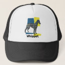 Search for greyhound hats Animal