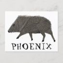Search for phoenix postcards Desert