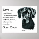 Search for great dane posters Pets