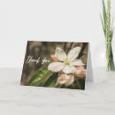 Search for pink note photography Floral