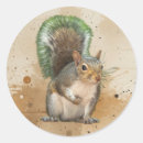 Search for grey squirrels stickers Animal
