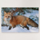 Search for red fox puzzles Forest