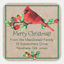 Search for cardinal stickers Whimsical