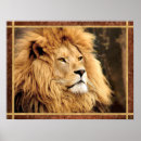 Search for lion brown posters Gold