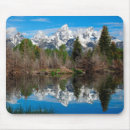 Search for dead tree mousepads Landscape
