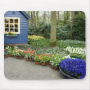 Search for cindy mousepads Travel