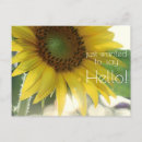 Search for just to say hello postcards Yellow