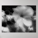 Search for high contrast posters Nature