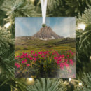 Search for mountain range christmas tree decorations Snow