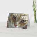Search for white cat birthday cards Felines