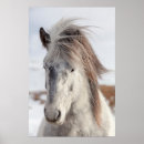Search for headshot posters Horse