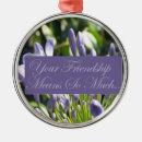 Search for means christmas tree decorations Friendship
