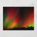 Search for aurora borealis postcards Tree