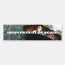 Search for boxes bumper stickers Box turtle