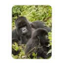 Search for bipedalism Young