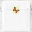 Search for black and orange butterfly stickers Nature