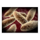 Search for eukaryotes Microorganism