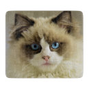 Search for cat cookware Siamese