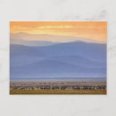 Search for migrator postcards Mountain