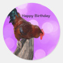 Search for roosters stickers Funny