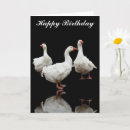 Search for white goose cards Geese