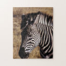 Search for african wildlife puzzles Landscape
