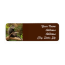 Search for monkey return address labels Wild
