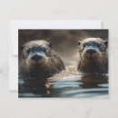 Search for otters postcards Happy