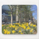 Search for daffodil electronics Photography