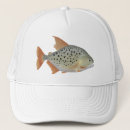 Search for aquarium hats Fish